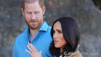 Prince Harry's fresh hope for taxpayer-funded security as Home Secretary orders new review