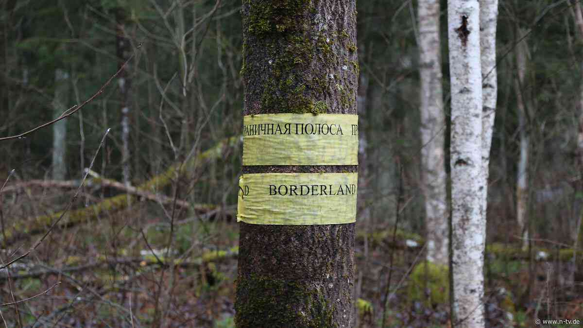 "Nächster wird bereits gegraben": Lettland: Minsk muss von Migrantentunneln wissen