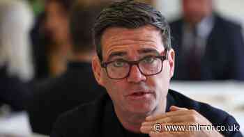 ‘Thames Water could be nationalised under Burnham tenure without spending a penny’