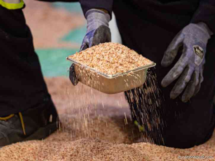 Could Canada cut off potash to the U.S.? It's a 'high stakes game of chicken,' says an expert