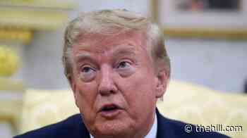 Trump tells voters ahead of midterms: 'Pretend I'm on the ballot'