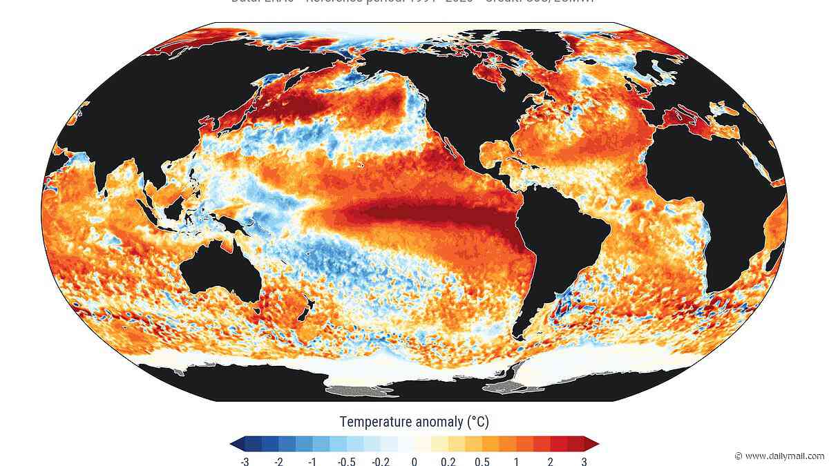 El Niños have become 40% stronger in the last 40 years than the previous 1,000 - and this year's event is on track to be the biggest ever