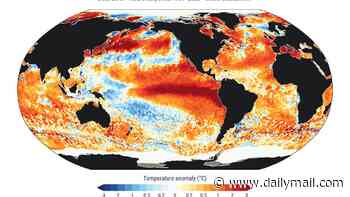 El Niños have become 40% stronger in the last 40 years than the previous 1,000 - and this year's event is on track to be the biggest ever