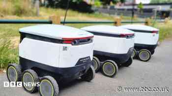 Delivery robots removed from streets as pilot ends