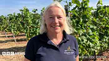Hot weather means more wine, says vineyard