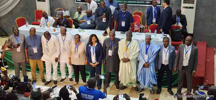 Gusau-Led NFF Board Deserves Thorough Probe To Ensure Accountability — Ikhana