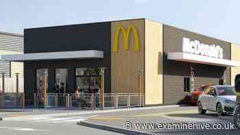 McDonald's new drive-thru plans faces new hurdle as disease plagues site