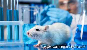 Trump's EPA just took a step toward ending all animal testing by 2035