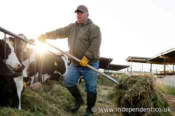 US-Canada trade war threatens the future of American farm crops