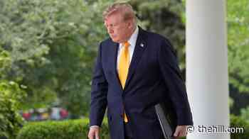 Trump's approval ratings endure a cruel summer
