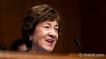 Collins urges US to return to trade talks with Canada