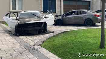 Police investigating suspected arson after cars at Liberal MP's home torched