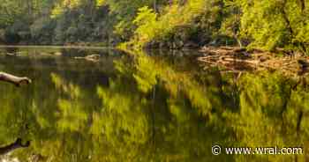NC teen critically ill with amoeba found in warm, fresh water