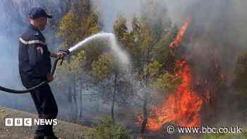 At least 12 dead as wildfires sweep through northern Algeria
