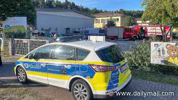 Schoolgirl, 18, and man are killed at school in Germany: Teenage 'murderer' is arrested
