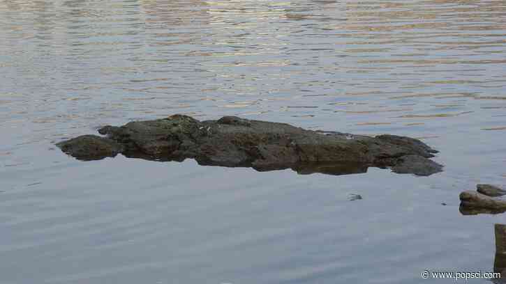 ‘Rock of Starvation’ reappears in Budapest during historic drought