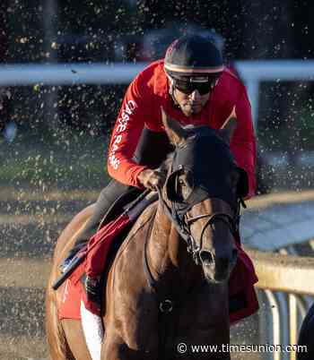 Hall of Fame trainer Mark Casse chases first Travers win with Silent Tactic
