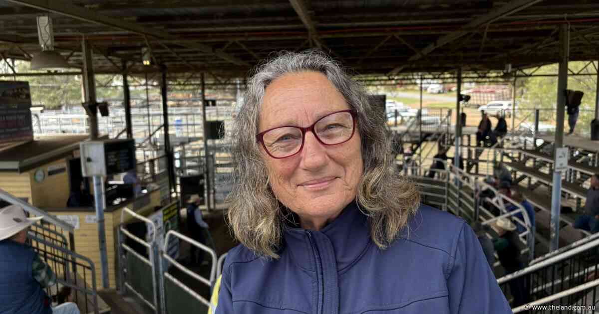 More than markets: fee hike highlights saleyards' critical community role
