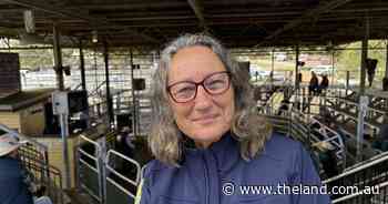 More than markets: fee hike highlights saleyards' critical community role