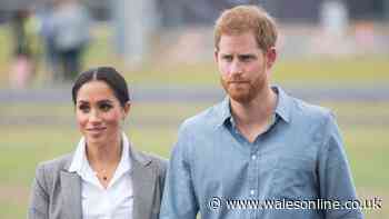 BBC star issues warning to Prince Harry and Meghan Markle as they 'become neighbours'