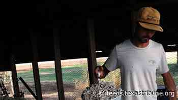 After years of hardship, Texas agriculture faces a new threat: data centers