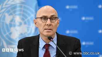 Reform of all social media should come with Meta changes, UN says