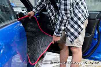Can bed bugs live in your car?