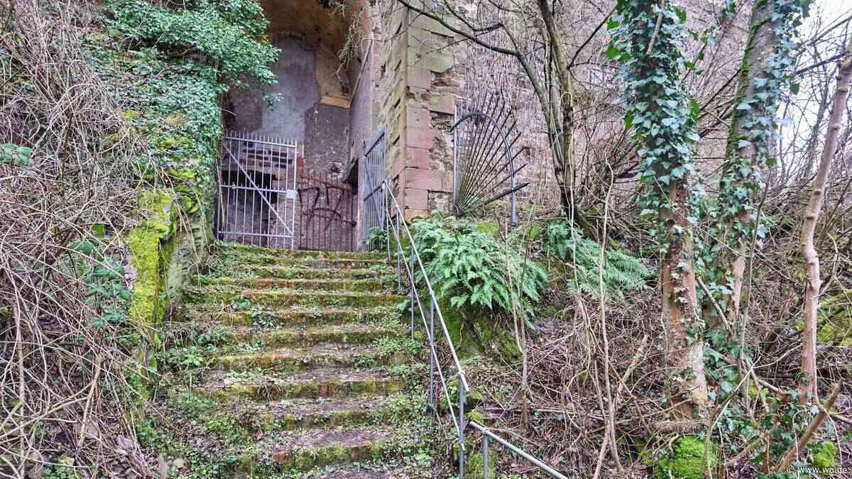„Lebendige und vergessene Welt“: Märchenwald ist heute ein Lost-Place mit Schloss-Ruine