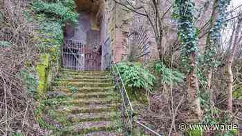 „Lebendige und vergessene Welt“: Märchenwald ist heute ein Lost-Place mit Schloss-Ruine