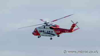 Child seriously injured in 'incident involving family pet' in County Kerry, Ireland