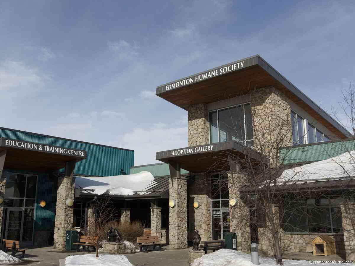 Edmonton Humane Society close to reaching $2.4M renovation goal
