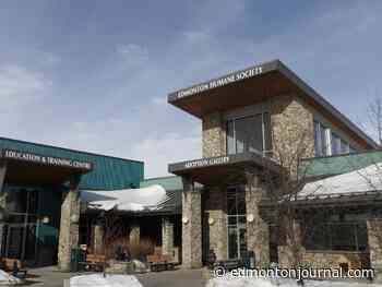 Edmonton Humane Society close to reaching $2.4M renovation goal