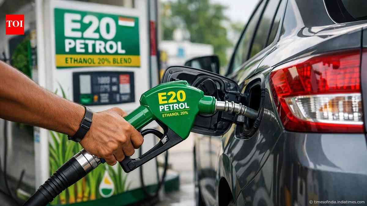 BPCL CMD says mulling E10 petrol option, then walks back