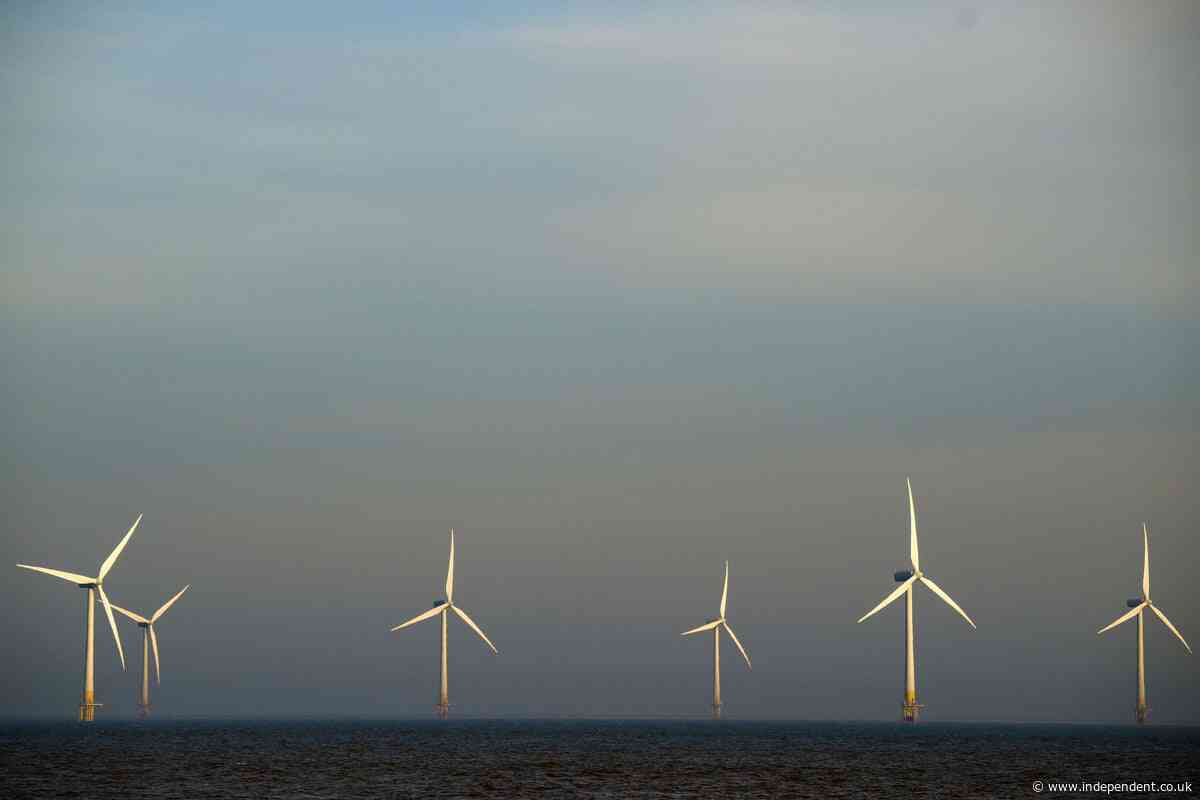 $900M paid out by Trump to end wind farm project is going to firm run by a Mar-a-Lago neighbor: report