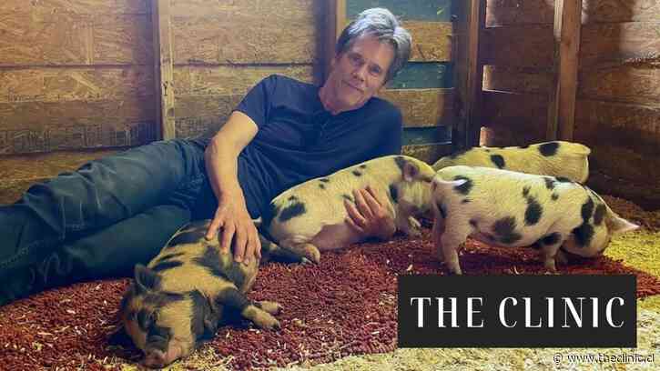 Del lujo a la granja: por qué figuras como Mark Zuckerberg y Kevin Bacon están huyendo de la ciudad al campo para criar animales