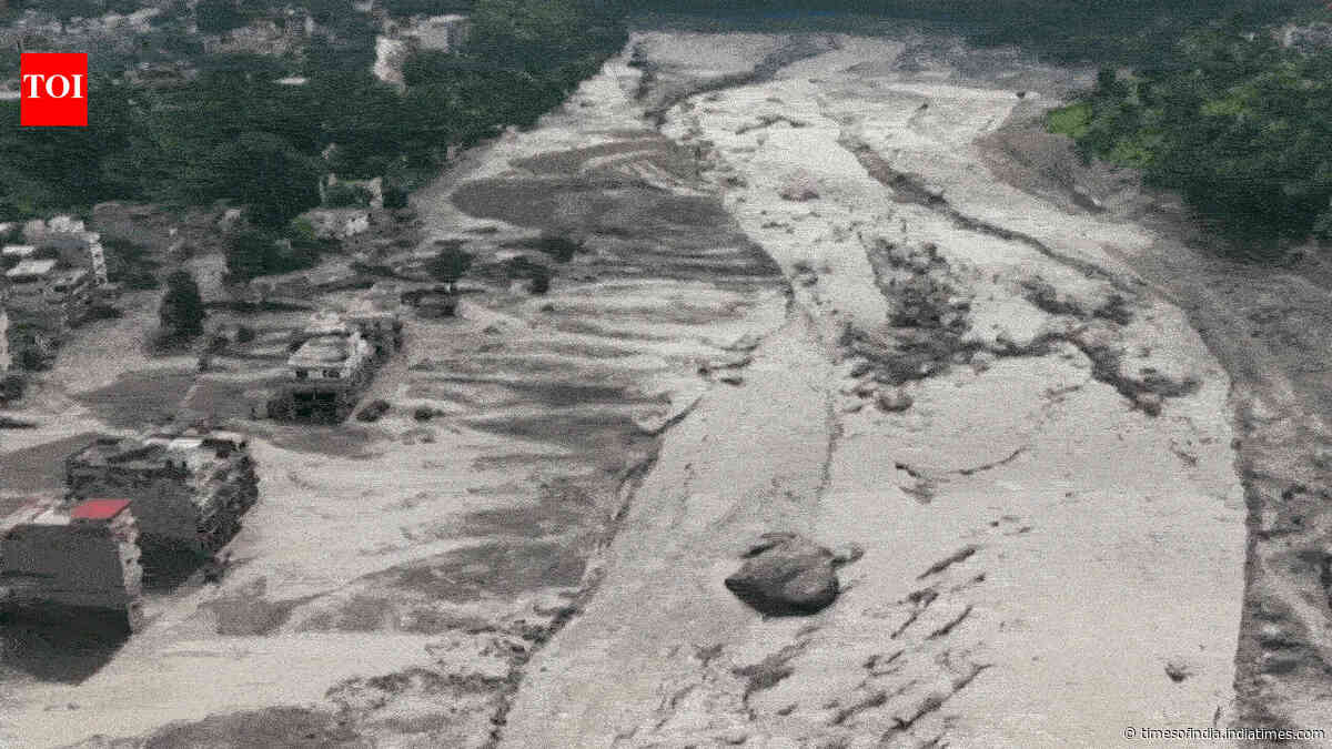 Nepal floods: No adverse impact of flash floods on Indian side, says NDRF
