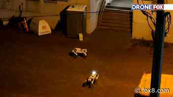 Watch: Robotic dogs work security near Cleveland construction site