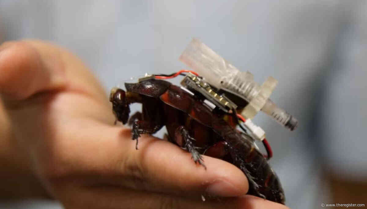 Cyborg cockroaches may soon deliver life-saving drugs to disaster victims