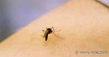 Six human cases prompt West Nile virus outbreak warnings in South Carolina