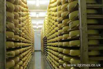 'No More Grass Left to Eat': France Relaxes Rules on Iconic 'Protected' Cheese Amid Drought