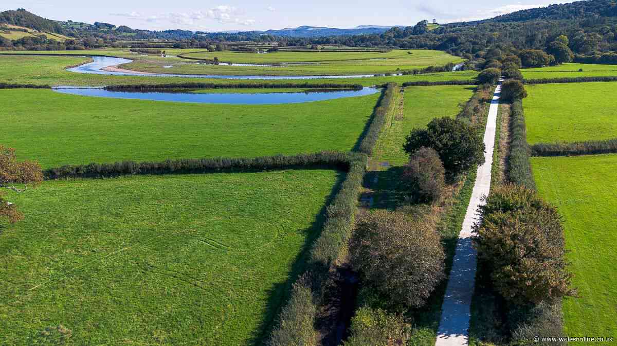 New programme to show off one of Wales' prettiest and greenest valleys