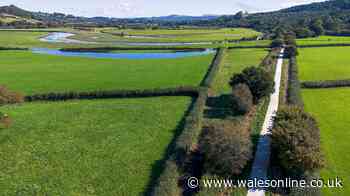 New programme to show off one of Wales' prettiest and greenest valleys