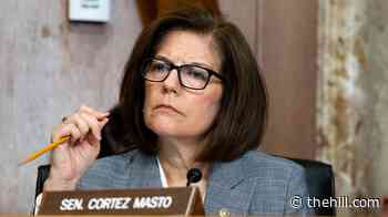 Letter signed by Democratic senators calls on ICE to halt electric shock gloves