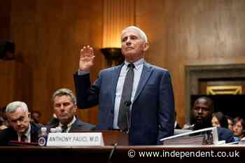 The Republican push to prosecute Fauci has ‘stalled’: report