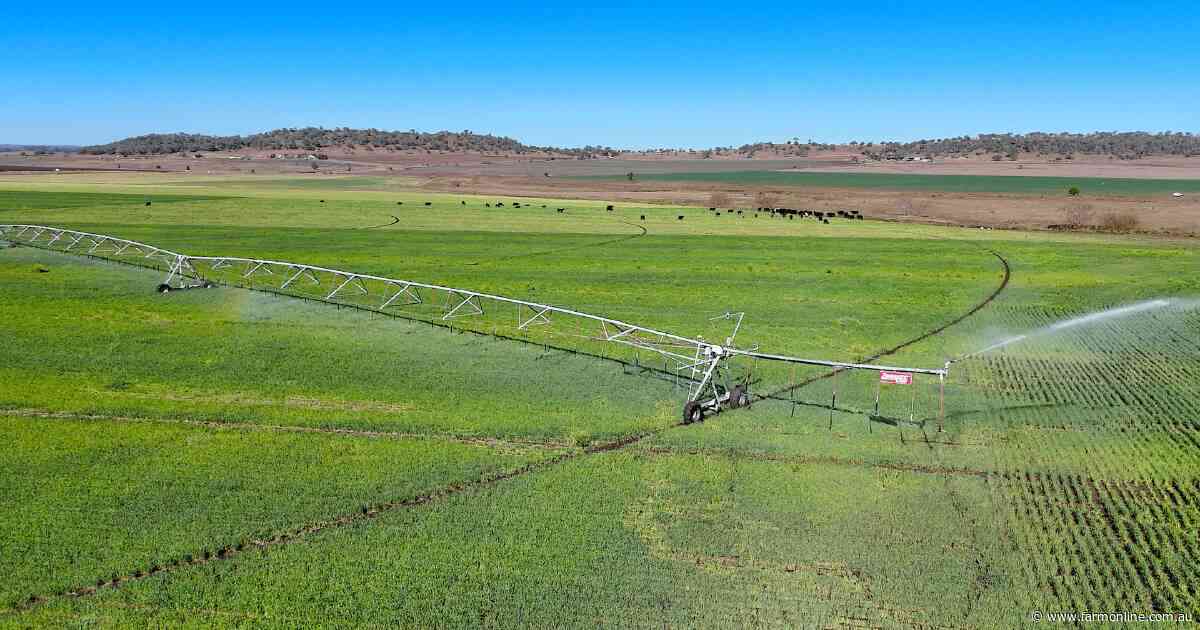 Premier asset with high-quality cultivation, irrigation, grazing | Video