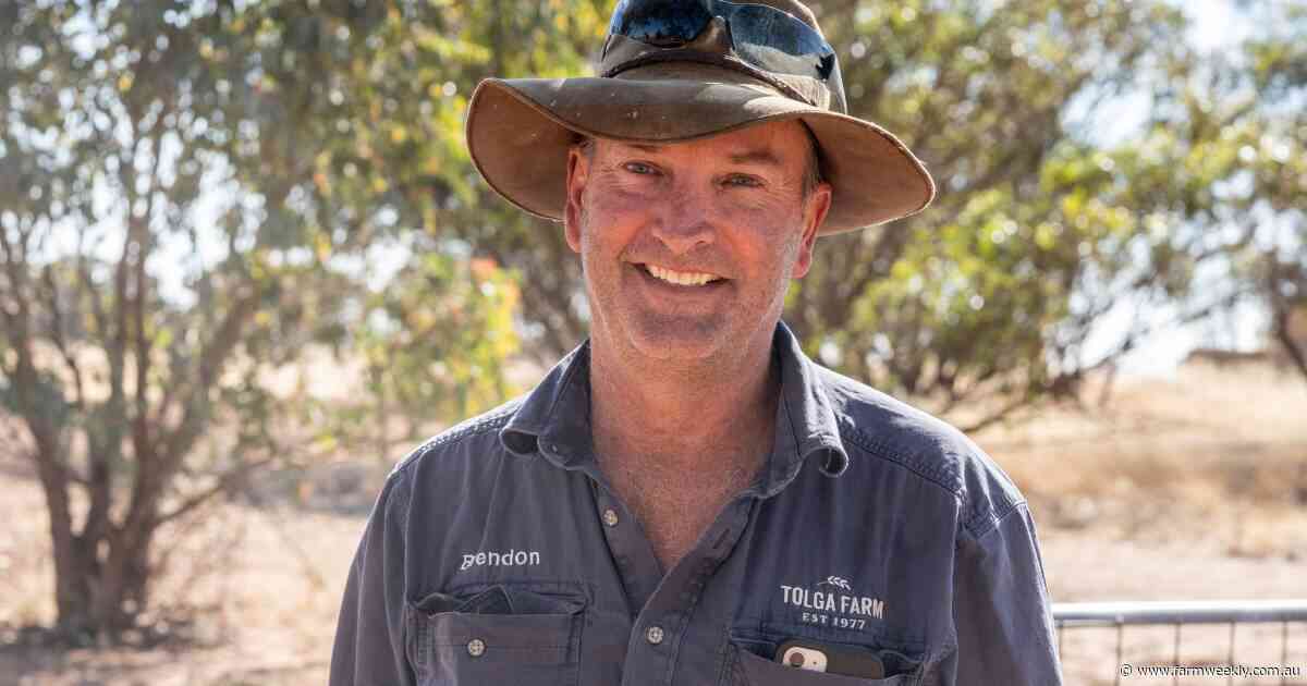 Tried and tested: award finalist's secret to profitable, low-input farming