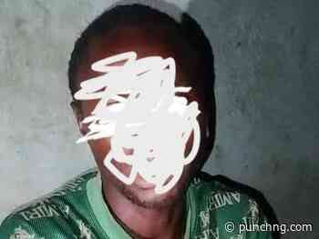 Man arrested over defilement of eight-month-old stepdaughter in Bauchi
