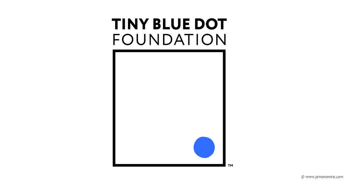 Tiny Blue Dot Foundation Awards $9M For 11 New Research Grants Exploring the Science of the Perception Box