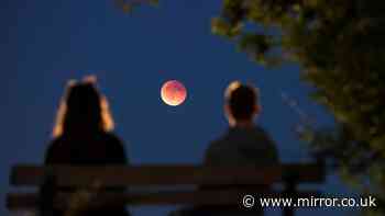 Lunar Eclipse blood moon watch live: Moon to turn red as earth's shadow becomes visible tonight