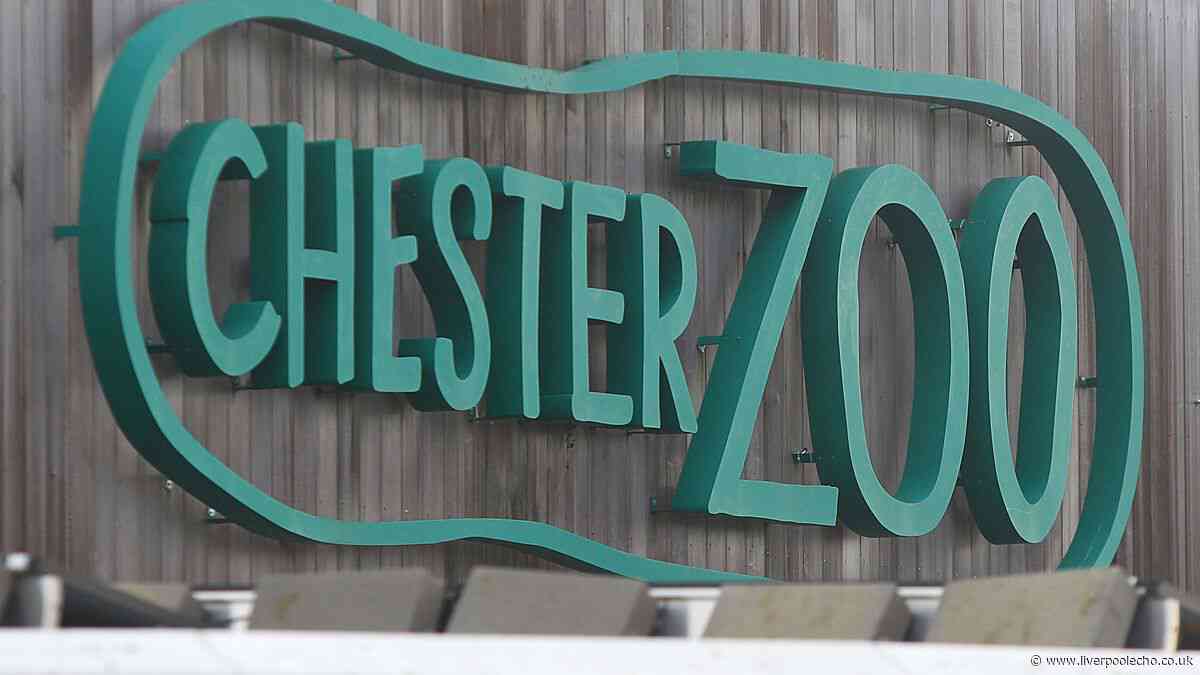 Chester Zoo welcomes new rare animals the same weight as a can of sardines